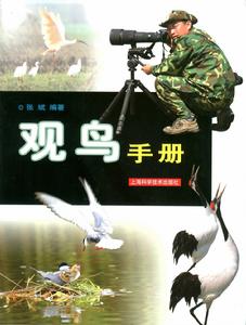 （圖）中國觀鳥