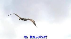 (圖)《翼手龍》