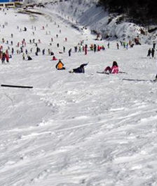 九宮山滑雪場 九宮山滑雪場