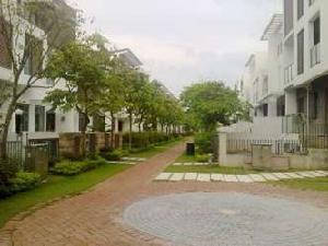 金山谷花園 金山谷花園