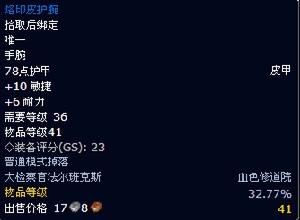 烙印皮護甲 烙印皮護甲