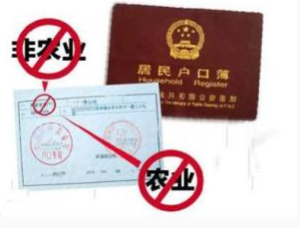 非農戶口