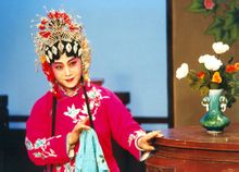 谷文月飾演張五可