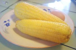 甜糯玉米 甜糯玉米