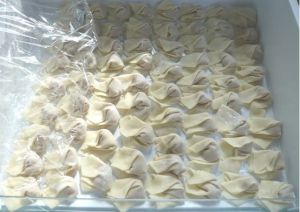 速凍餛飩 速凍餛飩