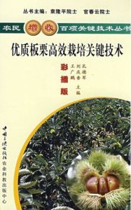 優質板栗高效栽培關鍵技術 優質板栗高效栽培關鍵技術