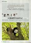 《綠色中國B版》 《綠色中國B版》