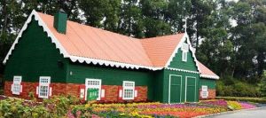 荷蘭鮮花王國 荷蘭鮮花王國