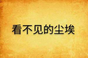 看不見的塵埃 看不見的塵埃