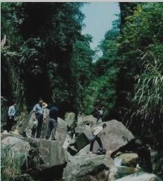 玉川龍影 玉川龍影