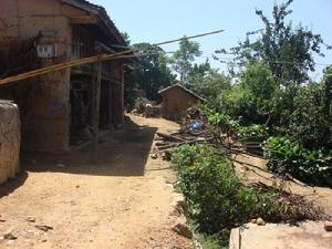 南瓜自然村民居