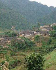 忙賣自然村 忙賣自然村