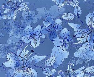 《異界之複製專家》