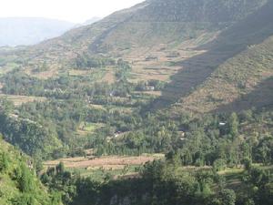 金竹坪自然村 金竹坪自然村