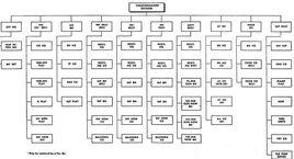 國民擲彈兵師 國民擲彈兵師