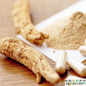 竹瀝片[竹瀝片]