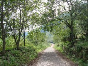 阿未席下自然村 阿未席下自然村