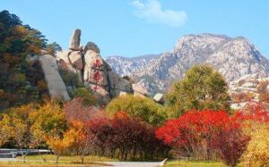 五佛山森林公園