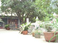 河南省焦作市博愛縣許良鎮大辛莊村