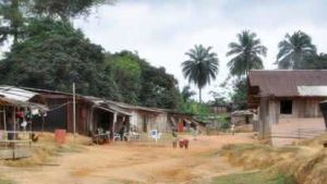 坦巴昆達區 坦巴昆達區