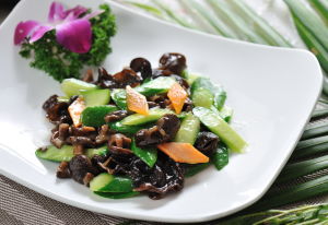 植物炒四寶 植物炒四寶