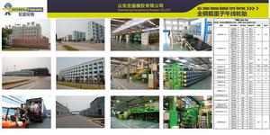 山東宏盛橡膠有限公司 山東宏盛橡膠有限公司