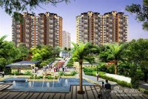 江南御都 江南御都