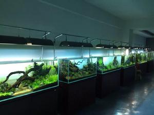 迪茨[浙江台州家居品牌]