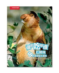 紅樹林食物鏈大揭秘 紅樹林食物鏈大揭秘