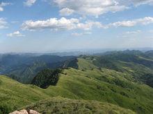 老虎頭森林公園景色