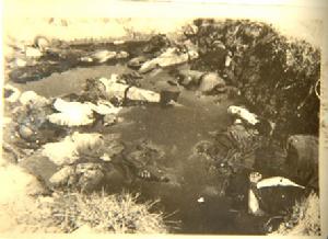 2007年7月7日 2007年7月7日