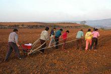 播種[作物栽培措施]