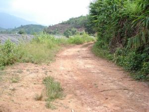 老賀家自然村 老賀家自然村