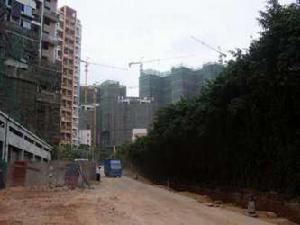 華僑城純水岸香山里花園二期 華僑城純水岸香山里花園二期