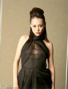 《布魯姆兄弟》