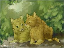 火星和沙風（火沙）