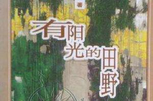 有陽光的田野 有陽光的田野
