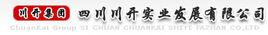 四川川開實業(集團)發展有限公司 四川川開實業(集團)發展有限公司