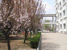 膠南市第三中學