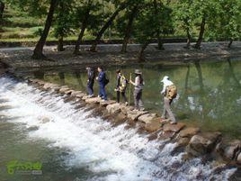 中村[山東海陽市中村鎮]