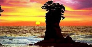 天佛指山 天佛指山