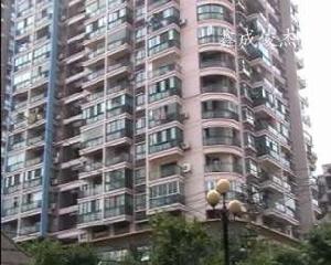 鑫成俊傑 鑫成俊傑