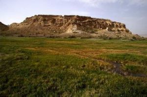 大花石遺址 大花石遺址