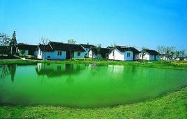 九龍灣景區 九龍灣景區