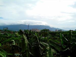 福田鎮[廣東省惠州市博羅縣福田鎮]