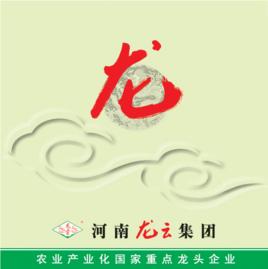 河南省龍雲集團 河南省龍雲集團