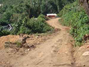 帕亮自然村 帕亮自然村