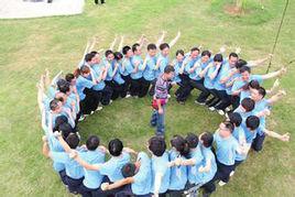 團隊活動 團隊活動