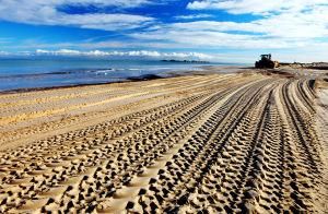 填海造地 填海造地