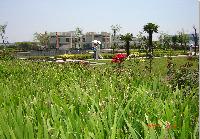 安徽省醫學高等專科學校